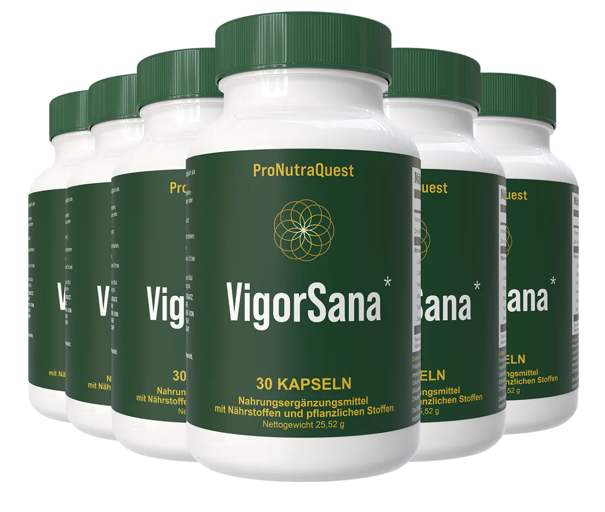 VigorSana Energy and Vitality Supplement