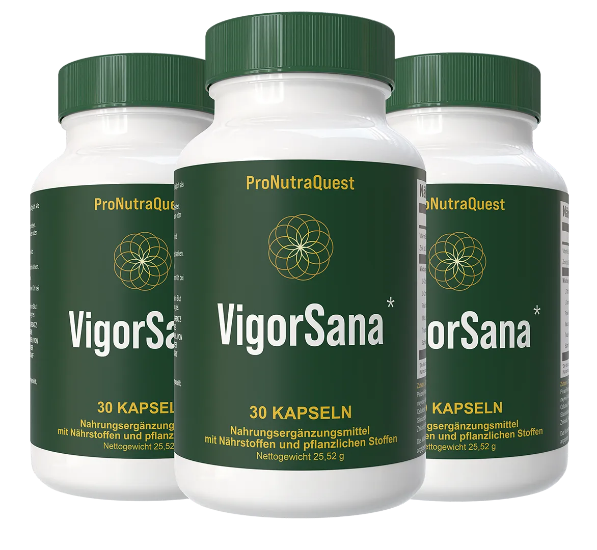 VigorSana VigorSana official